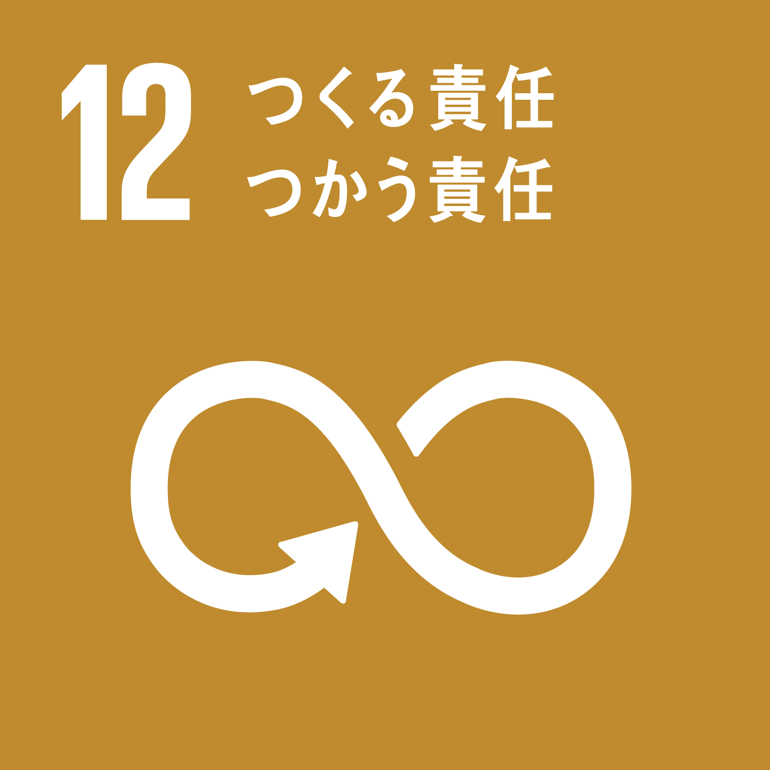 sdg12