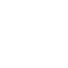 海外WEB調査