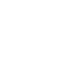 SNS調査