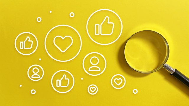 SNS・自由回答分析支援